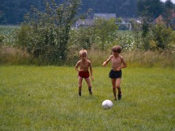 0DIA1981 RAVAKAMP EN ZEIST C1